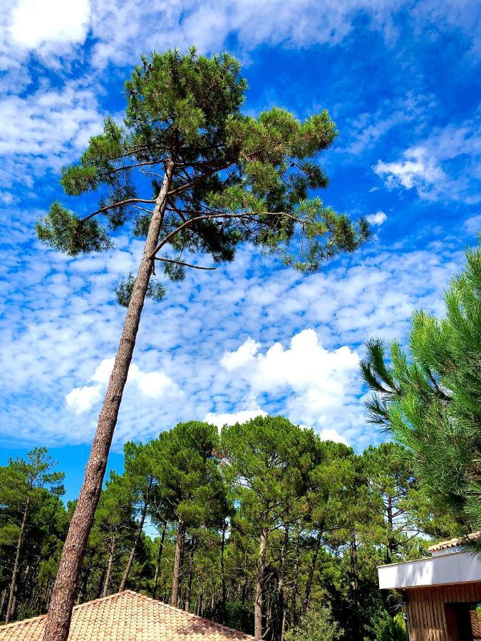 Domaine Du Ferret Restaurant & Spa Lege-Cap-Ferret Luaran gambar